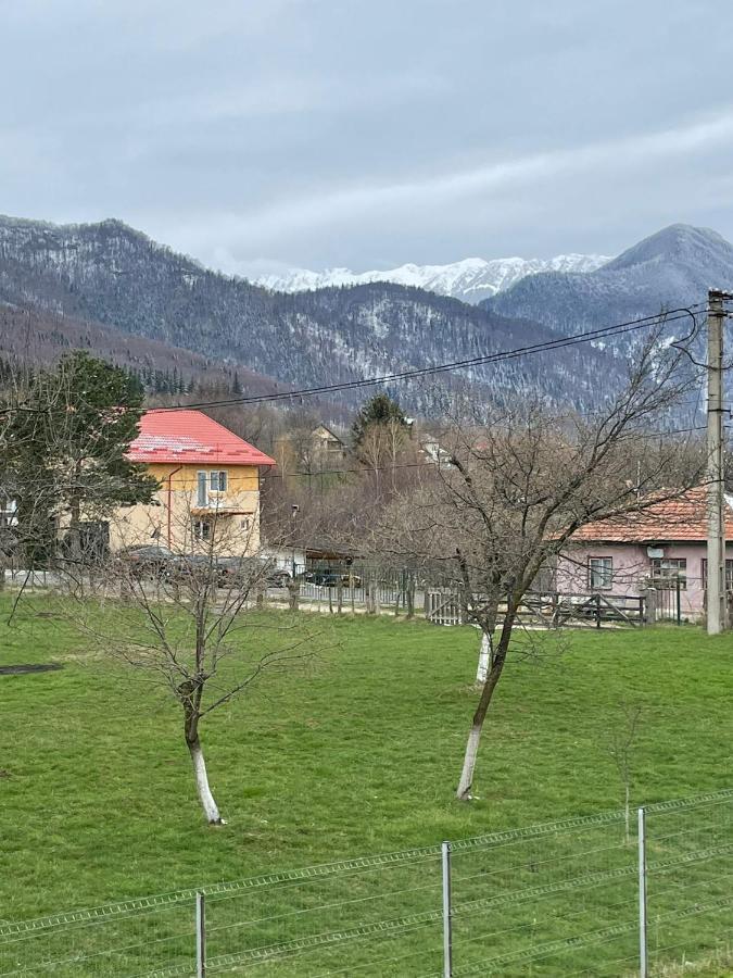 Casa Luca Ama Bran Villa Bran  Exterior foto