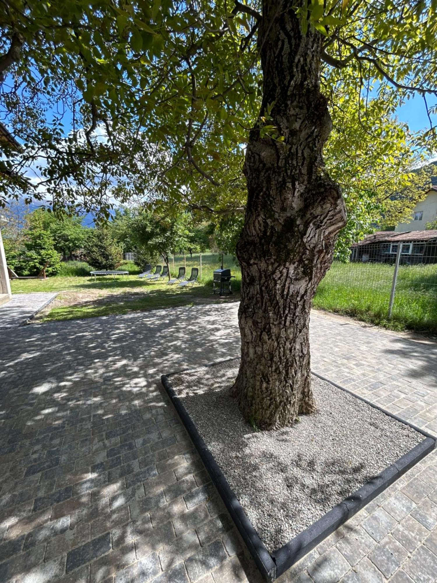 Villa Casa Luca Ama Bran Bran  Exterior foto